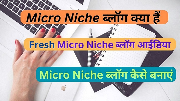 Micro Niche ब्लॉग क्या हैं | Micro Niche Blog कैसे बनाएं