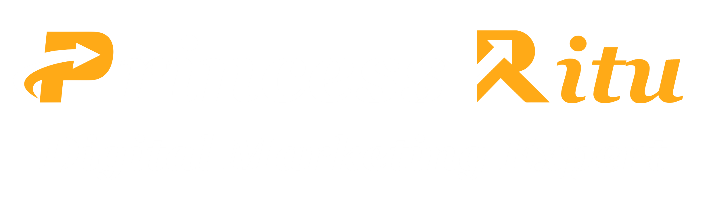 Princess Ritu Digital Marketing Expert 