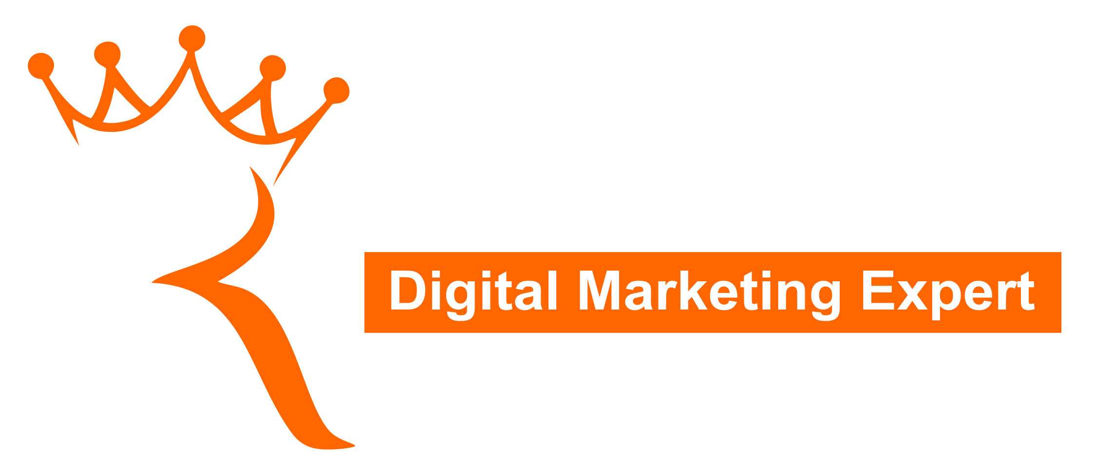 Princess Ritu Digital Marketing Expert 